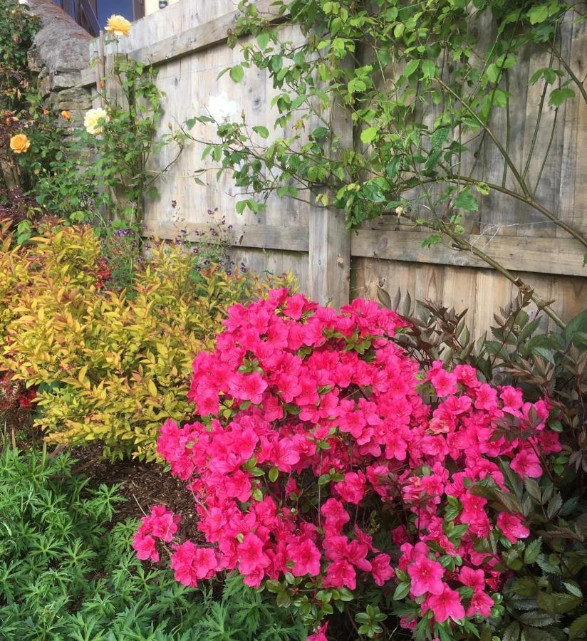 Stoke House Bed And Breakfast Stoke Rivers エクステリア 写真