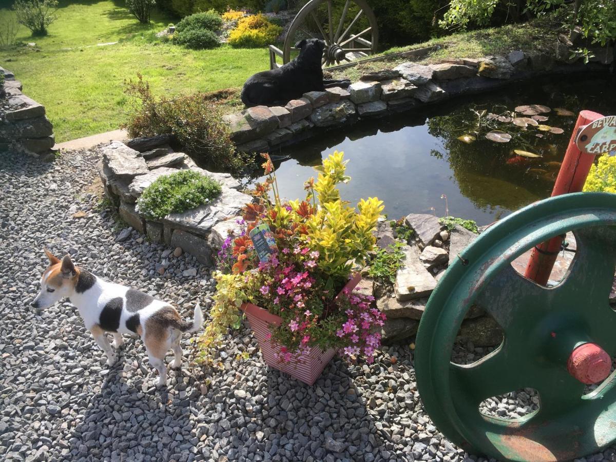 Stoke House Bed And Breakfast Stoke Rivers エクステリア 写真