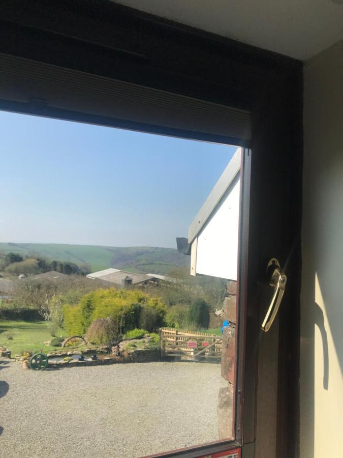 Stoke House Bed And Breakfast Stoke Rivers エクステリア 写真