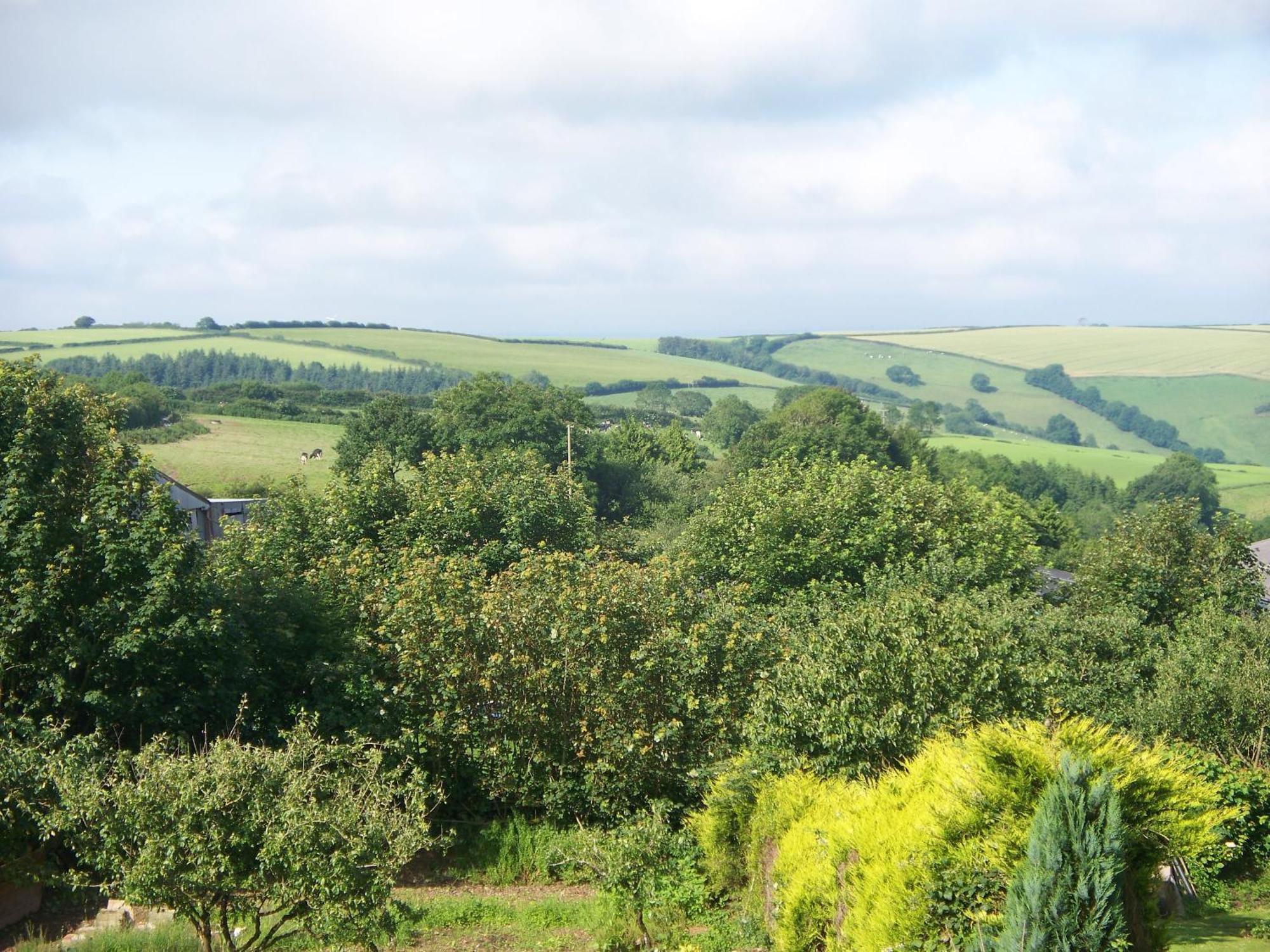 Stoke House Bed And Breakfast Stoke Rivers エクステリア 写真